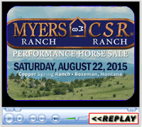 Myers-CSR Performance Horse Sale